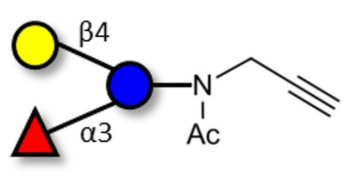 3-Fucosyllactose (3-FL) with terminal alkyne (Linker-CΞCH A) - GLY060-NPR