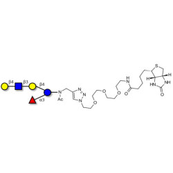 Lacto-N-fucopentaose VI (LNFP-VI) linked to biotin (Linker-BT A)
