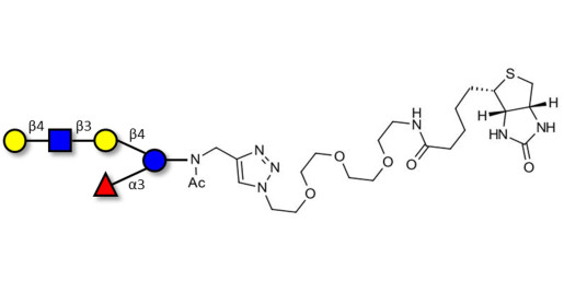 Lacto-N-fucopentaose VI (LNFP-VI) linked to biotin (Linker-BT A)