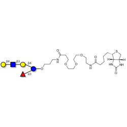 Lacto-N-fucopentaose VI (LNFP-VI) linked to biotin (Linker-BT C)