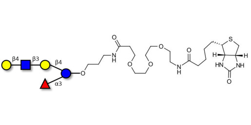 Lacto-N-fucopentaose VI (LNFP-VI) linked to biotin (Linker-BT C)