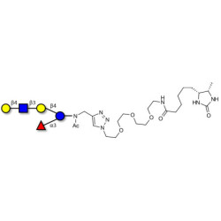 Lacto-N-fucopentaose VI (LNFP-VI) linked to desthiobiotin (Linker-DBT-A)