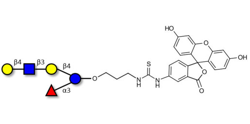 Lacto-N-fucopentaose VI (LNFP-VI) linked to fluorescein (Linker-FLUO A)