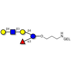 Lacto-N-fucopentaose VI (LNFP-VI) grafted on gel for affinity chromatography (Linker-GEL B)