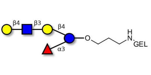 Lacto-N-fucopentaose VI (LNFP-VI) grafted on gel for affinity chromatography (Linker-GEL B)