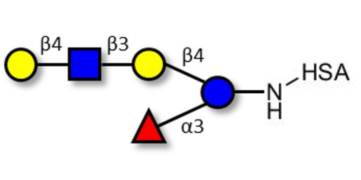 Lacto-N-fucopentaose VI (LNFP-VI) grafted on HSA