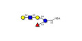 Lacto-N-fucopentaose VI (LNFP-VI) grafted on HSA