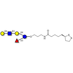 Lacto-N-fucopentaose VI (LNFP-VI) with cyclic di-thiol (Linker-LIPO A)