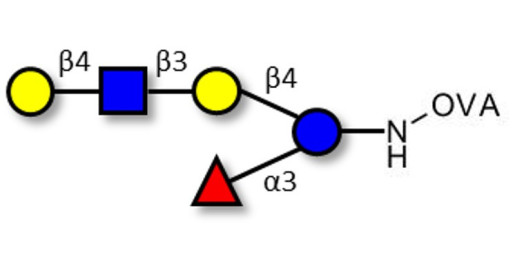Lacto-N-fucopentaose VI (LNFP-VI) grafted on OVA