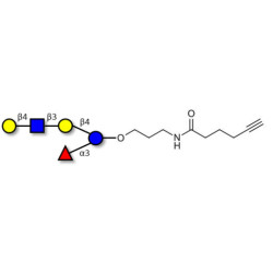 Lacto-N-fucopentaose VI (LNFP-VI) with terminal alkyne (Linker-CΞCH C)
