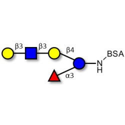 Lacto-N-fucopentaose V (LNFP V) grafted on BSA