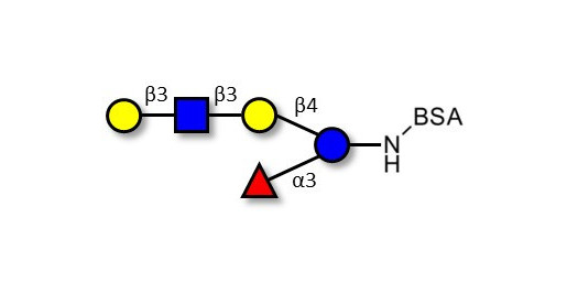 Lacto-N-fucopentaose V (LNFP V) grafted on BSA