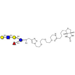 Lacto-N-fucopentaose V (LNFP V) linked to biotin (Linker-BT A)