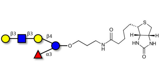 Lacto-N-fucopentaose V (LNFP V) linked to biotin (Linker-BT B)