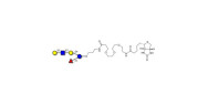 Lacto-N-fucopentaose V...