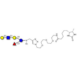 Lacto-N-fucopentaose V (LNFP V) linked to desthiobiotin (Linker-DBT-A)