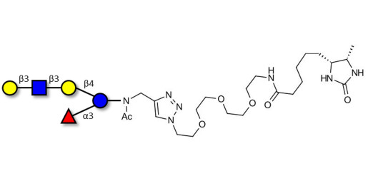 Lacto-N-fucopentaose V (LNFP V) linked to desthiobiotin (Linker-DBT-A)
