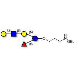 Lacto-N-fucopentaose V (LNFP V) grafted on gel for affinity chromatography (Linker-GEL B)