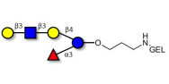 Lacto-N-fucopentaose V...