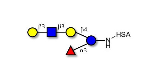 Lacto-N-fucopentaose V (LNFP V) grafted on HSA