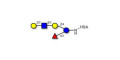 Lacto-N-fucopentaose V (LNFP V) grafted on HSA