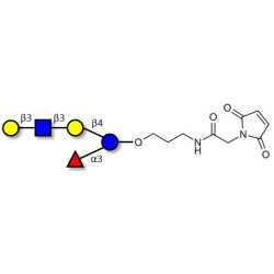 Lacto-N-fucopentaose V (LNFP V) linked to maleimide (Linker-MAL A)