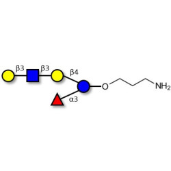 Lacto-N-fucopentaose V (LNFP V) with free terminal amine (Linker-NH2 A)