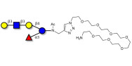 Lacto-N-fucopentaose V...