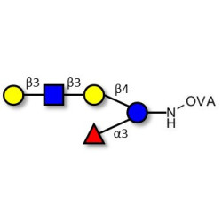 Lacto-N-fucopentaose V (LNFP V) grafted on OVA