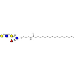 Lacto-N-fucopentaose V (LNFP V) with stearic chain (Linker-STEA A)