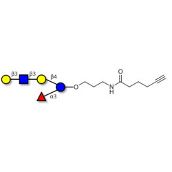 Lacto-N-fucopentaose V (LNFP V) with terminal alkyne (Linker-CΞCH C)