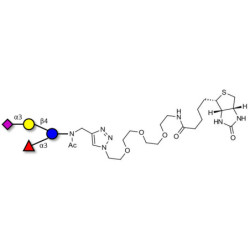 3’-Sialyl-3-Fucosyllactose linked to biotin (Linker-BT A)