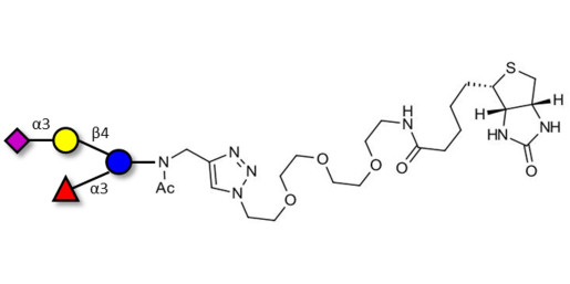 3’-Sialyl-3-Fucosyllactose linked to biotin (Linker-BT A) - GLY063 ; F-SL