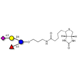 3’-Sialyl-3-Fucosyllactose linked to biotin (Linker-BT B)