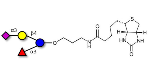 3’-Sialyl-3-Fucosyllactose linked to biotin (Linker-BT B) - GLY063 ; F-SL
