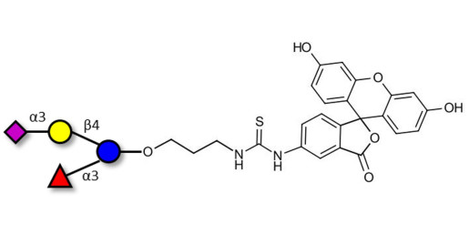 3’-Sialyl-3-Fucosyllactose linked to fluorescein (Linker-FLUO A) - GLY063 ; F-SL