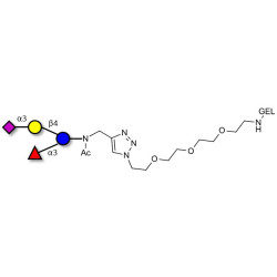 3’-Sialyl-3-Fucosyllactose grafted on gel for affinity chromatography (Linker-GEL A)