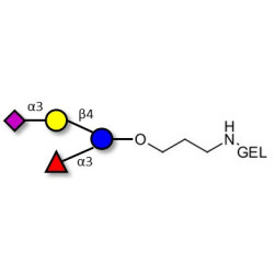 3’-Sialyl-3-Fucosyllactose grafted on gel for affinity chromatography (Linker-GEL B)