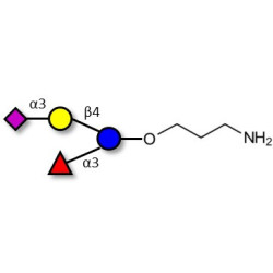 3’-Sialyl-3-Fucosyllactose with free terminal amine (Linker-NH2 A)