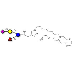 3’-Sialyl-3-Fucosyllactose with free terminal amine (Linker-NH2 C)