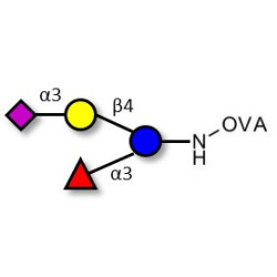 3’-Sialyl-3-Fucosyllactose grafted on OVA