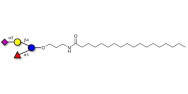 3’-Sialyl-3-Fucosyllactose...