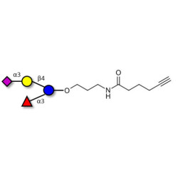3’-Sialyl-3-Fucosyllactose with terminal alkyne (Linker-CΞCH C)
