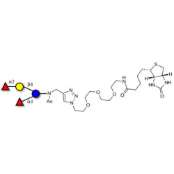 Difucosyllactose (DFL) / Lactodifucotetraose linked to biotin (Linker-BT A)