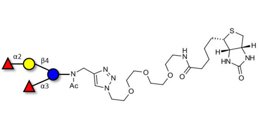 Difucosyllactose (DFL) / Lactodifucotetraose linked to biotin (Linker-BT A)