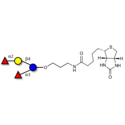 Difucosyllactose (DFL) / Lactodifucotetraose linked to biotin (Linker-BT B)