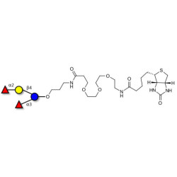 Difucosyllactose (DFL) / Lactodifucotetraose linked to biotin (Linker-BT C)