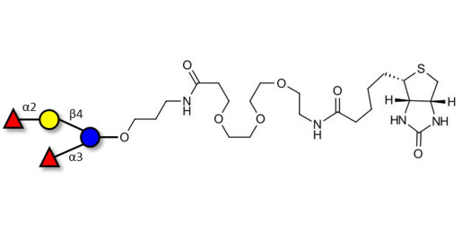 Difucosyllactose (DFL) / Lactodifucotetraose linked to biotin (Linker-BT C)