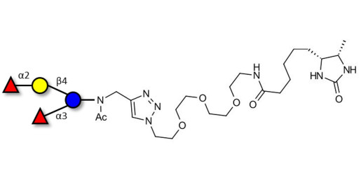 Difucosyllactose (DFL) / Lactodifucotetraose linked to desthiobiotin (Linker-DBT-A)