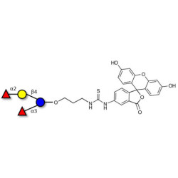 Difucosyllactose (DFL) / Lactodifucotetraose linked to fluorescein (Linker-FLUO A)